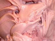 Gelato di Fragola
