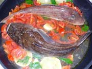 Fish In Crazy Water
