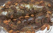 Trout with Mussels and Mushrooms 